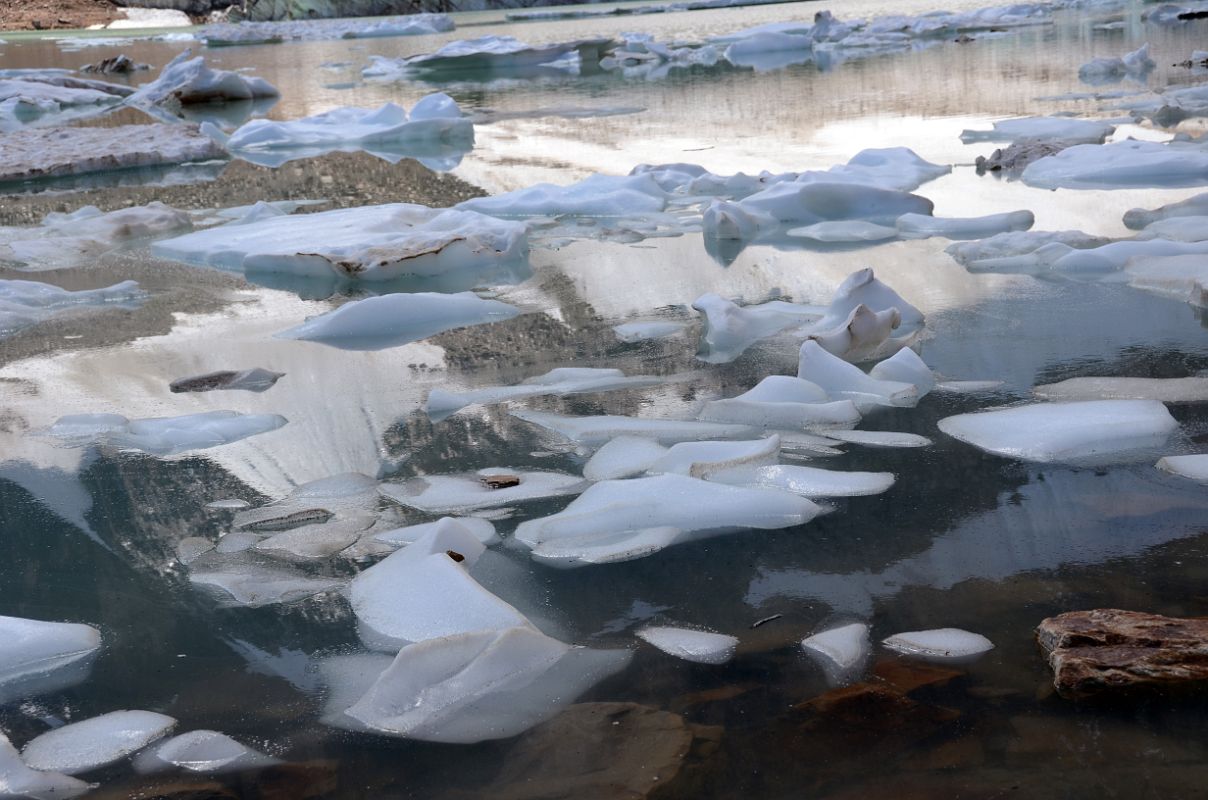 13 Ice Floating In Cavell Pond Near Mount Edith Cavell